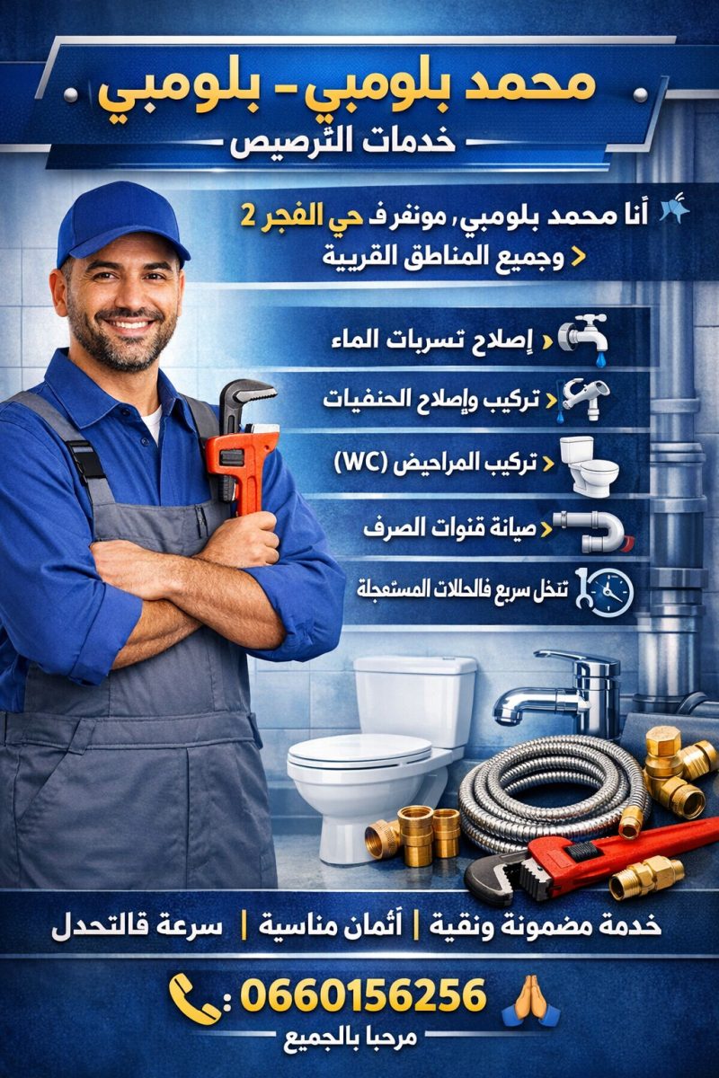 Service de plomberie à domicile (fuites, robinetterie, WC)