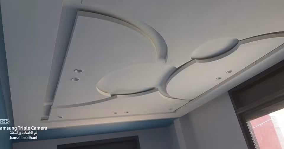 Plafond en plâtre à formes courbes et ovales en relief