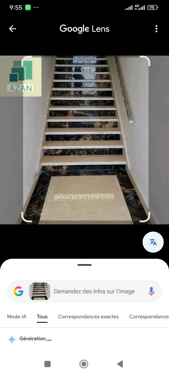 Escalier en marbre noir et marches claires
