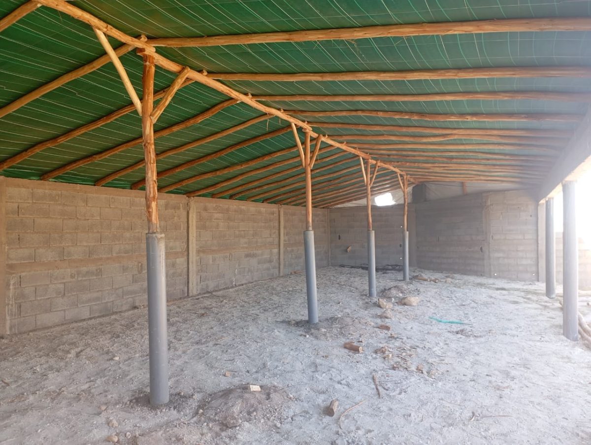 Intérieur de hangar à charpente bois et filet vert
