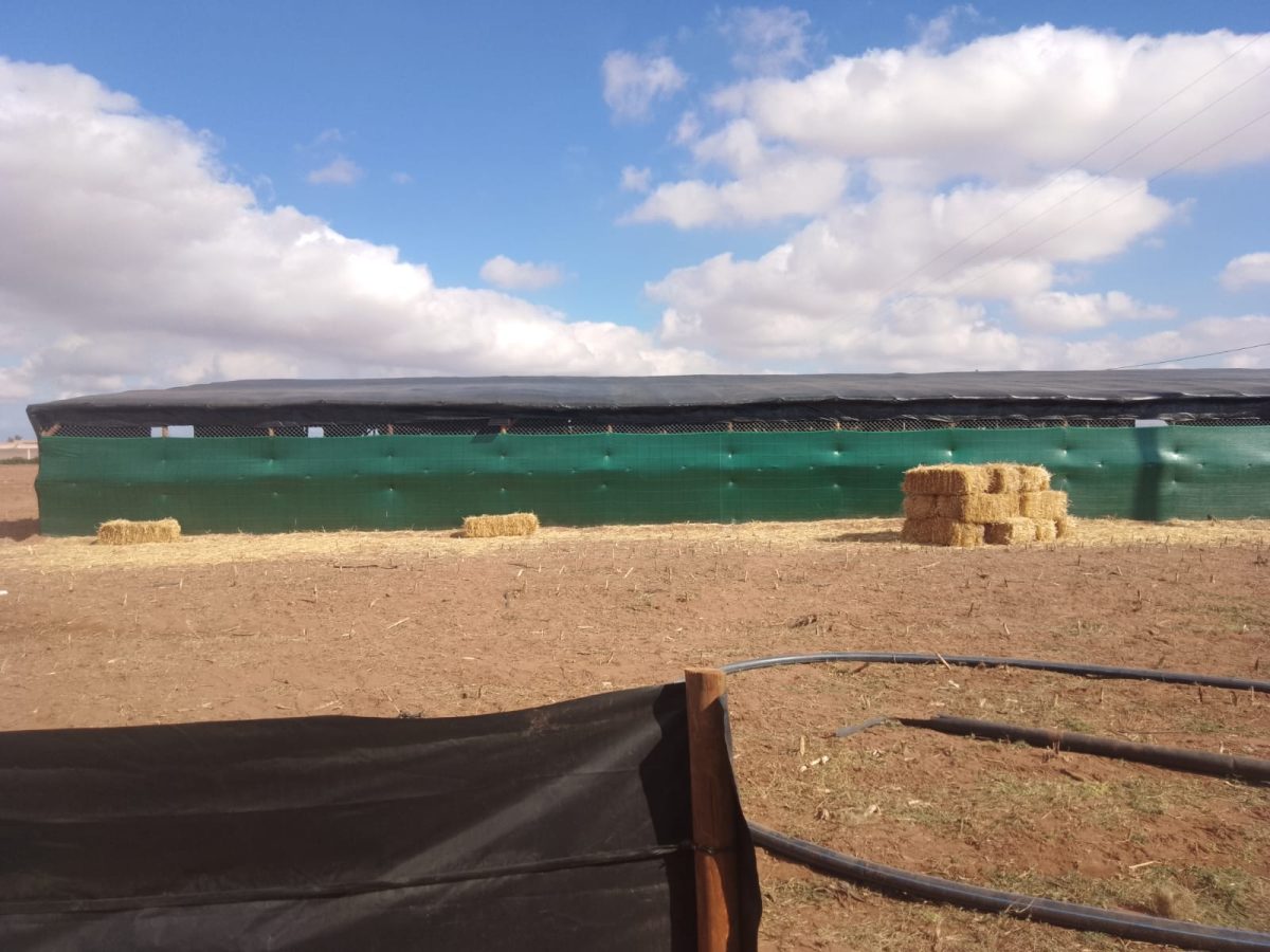 Hangar agricole couvert d'une bâche noire, avec brise-vent vert