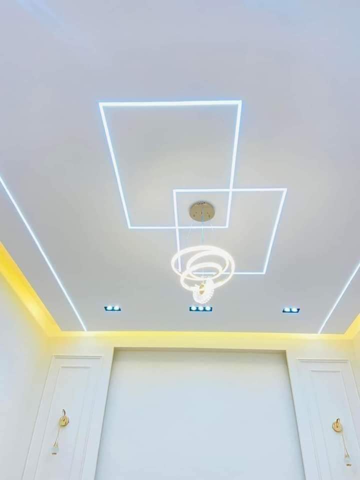 Faux plafond à cadres de lignes lumineuses LED et suspension anneau