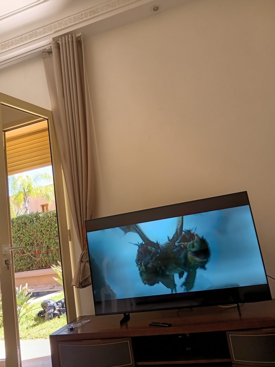 Téléviseur installé sur meuble dans un salon ouvert sur jardin