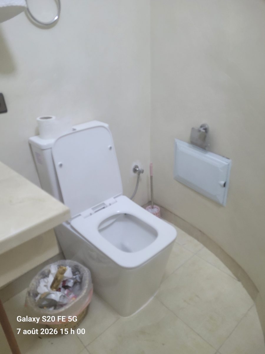 WC à poser avec douchette hygiénique dans des toilettes en marbre