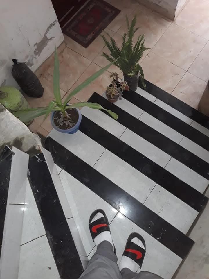 Sol carrelé à bandes noires et blanches avec plantes
