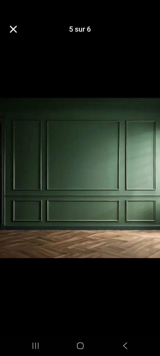 Mur vert sapin à moulures encadrées et parquet chevrons