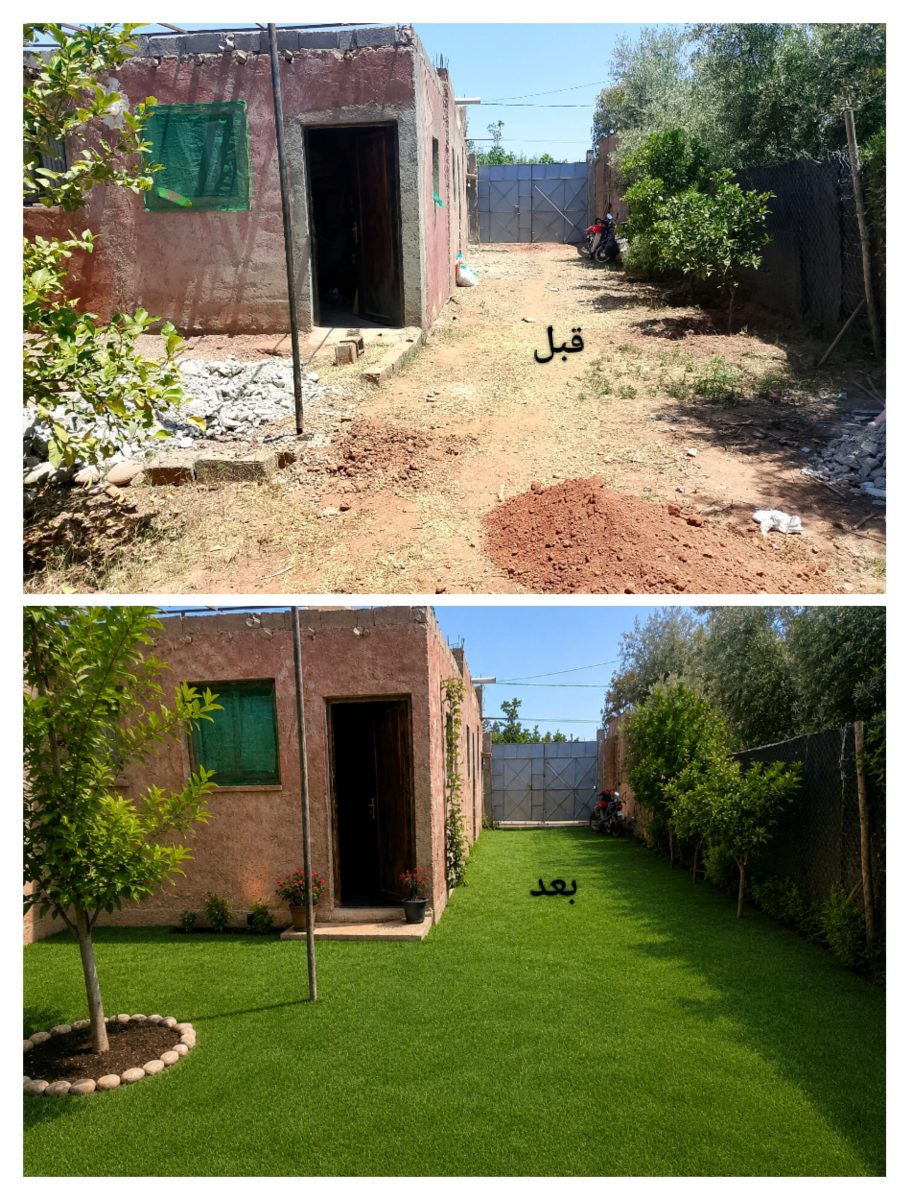 Avant/après d'un jardin engazonné avec arbres et bordures