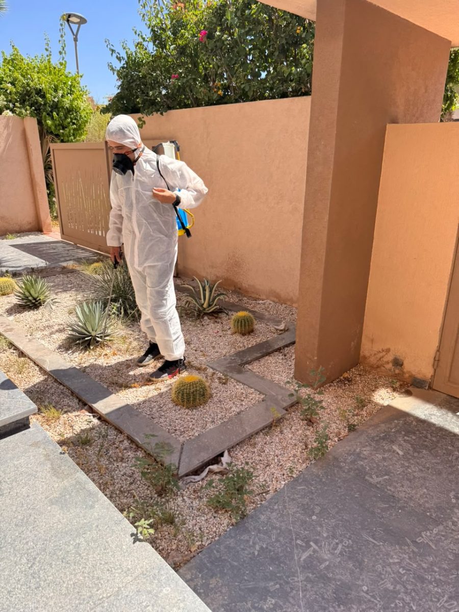 Agent en combinaison traitant un jardin de rocaille