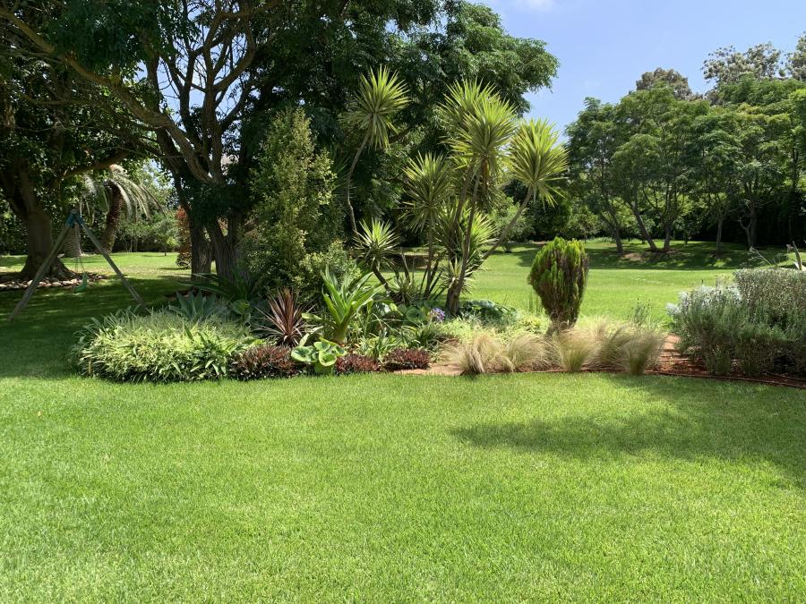 Grand jardin arboré avec massif de plantes et pelouse