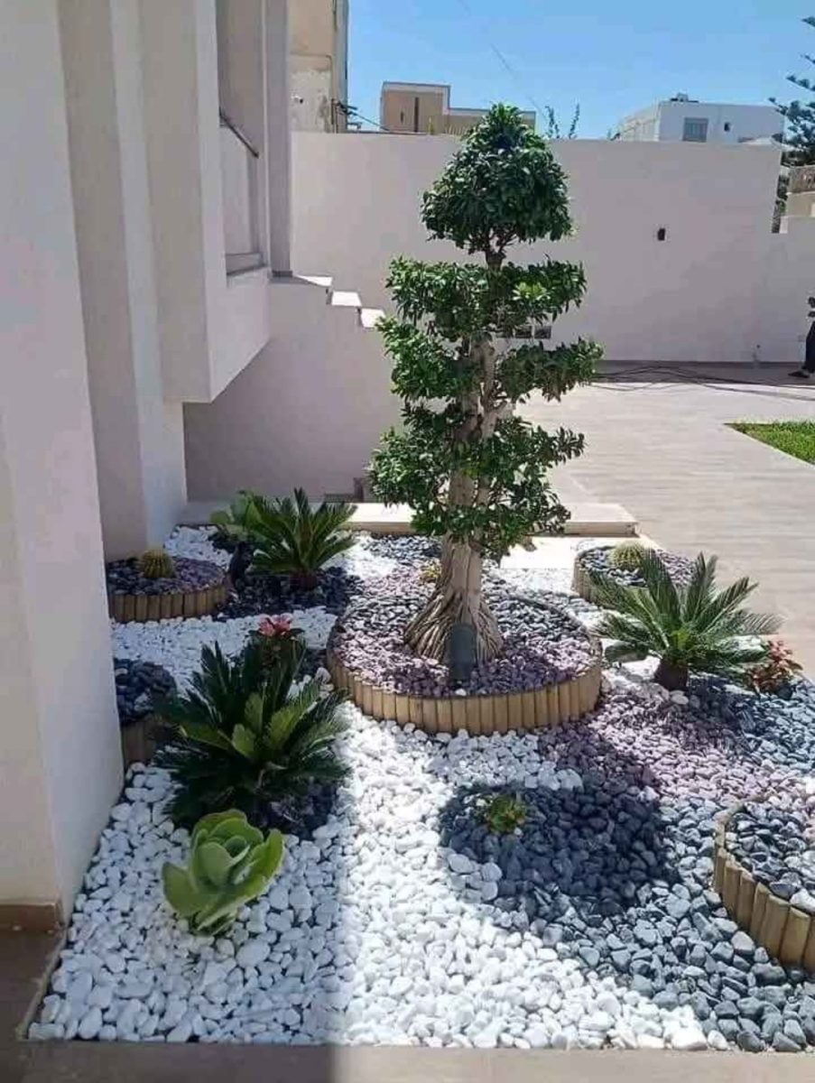 Jardin minéral à galets et arbre taillé en nuage