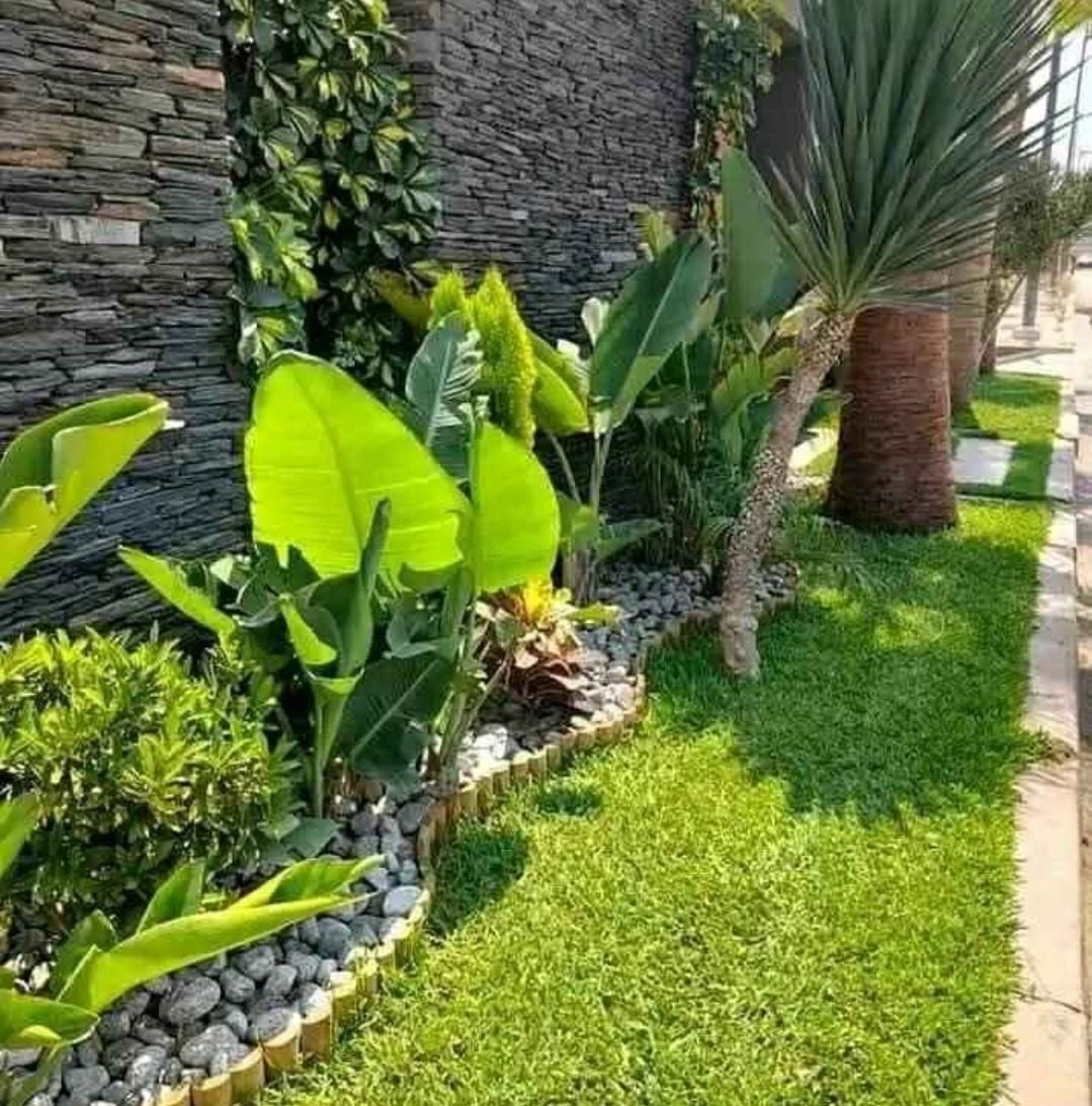 Jardin paysager à plantes tropicales et palmiers