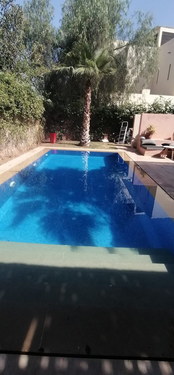 Piscine à mosaïque bleu foncé dans un jardin arbore