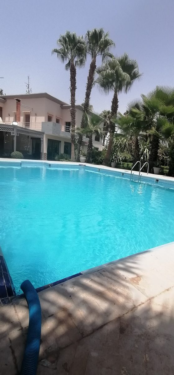 Grande piscine rectangulaire turquoise bordée de palmiers