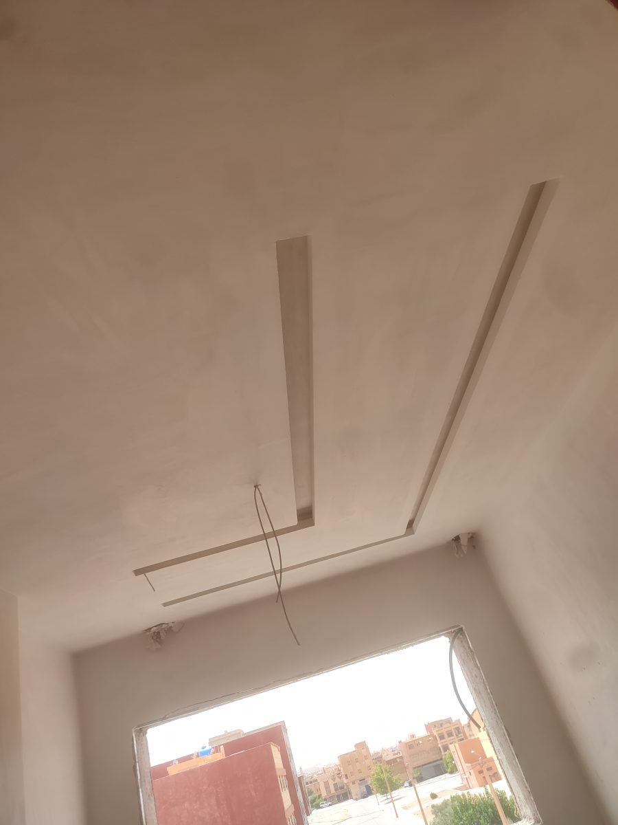 Faux plafond à retombées à lignes lumineuses LED, en cours