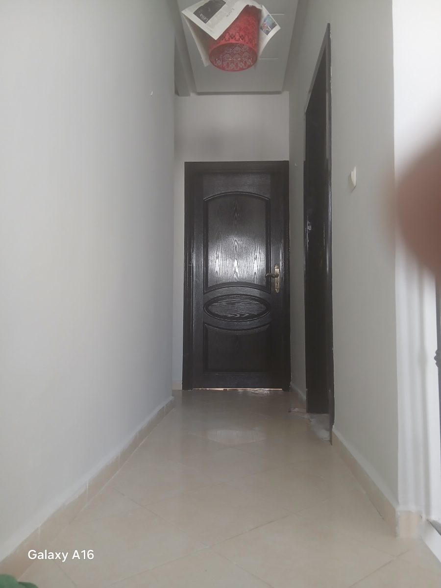 Couloir peint à porte en bois noir vernie