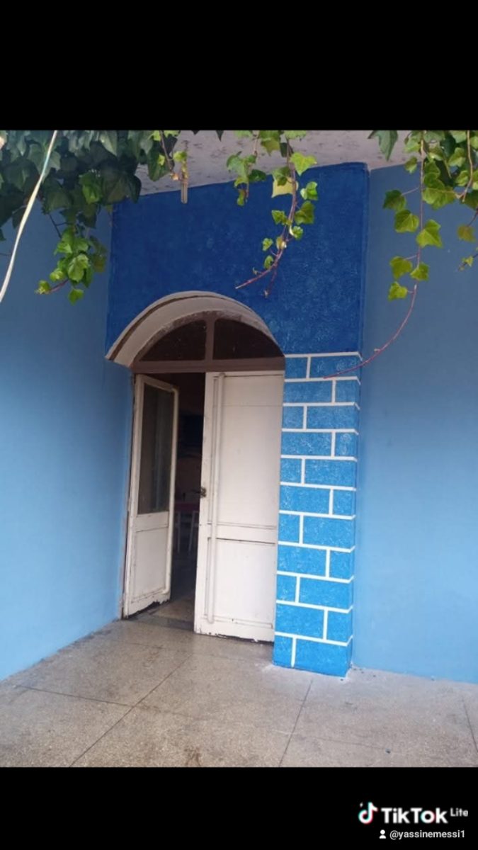 Mur extérieur bleu à décor peint imitant des briques