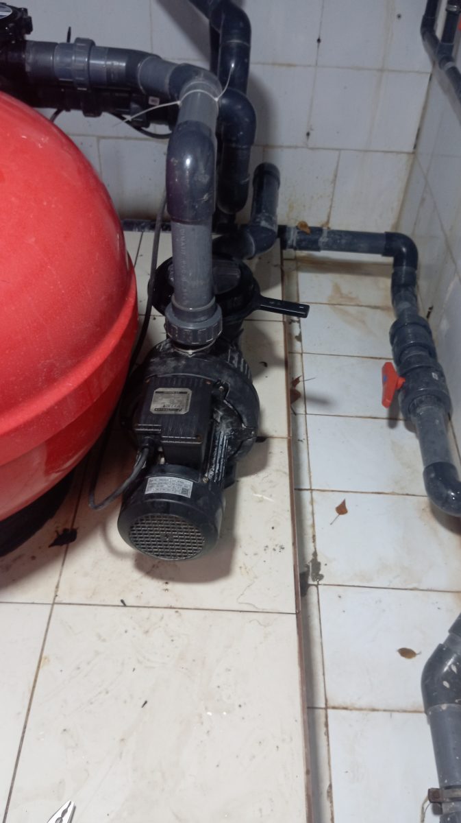 Entretien d'une piscine à l'épuisette télescopique