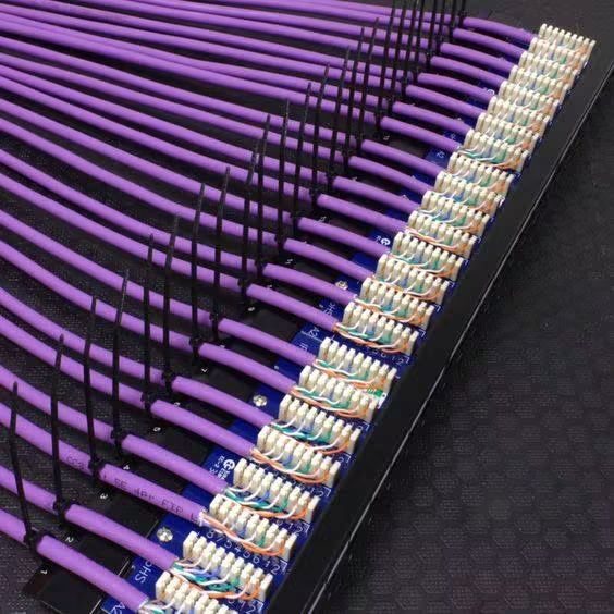 Câbles réseau violets raccordés sur un panneau de brassage