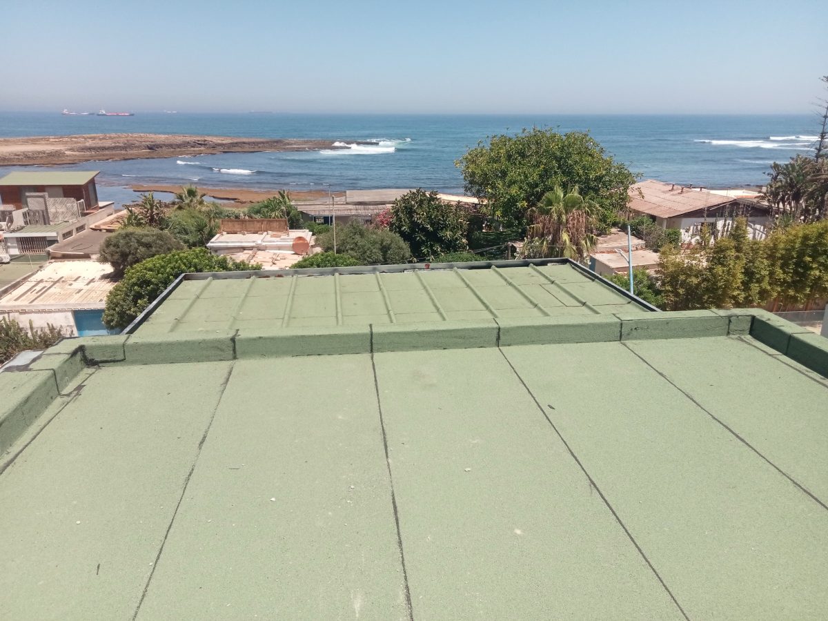 Toiture-terrasse à revêtement d'étanchéité vert