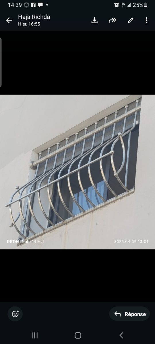 Garde-corps de fenêtre en inox à grille bombée