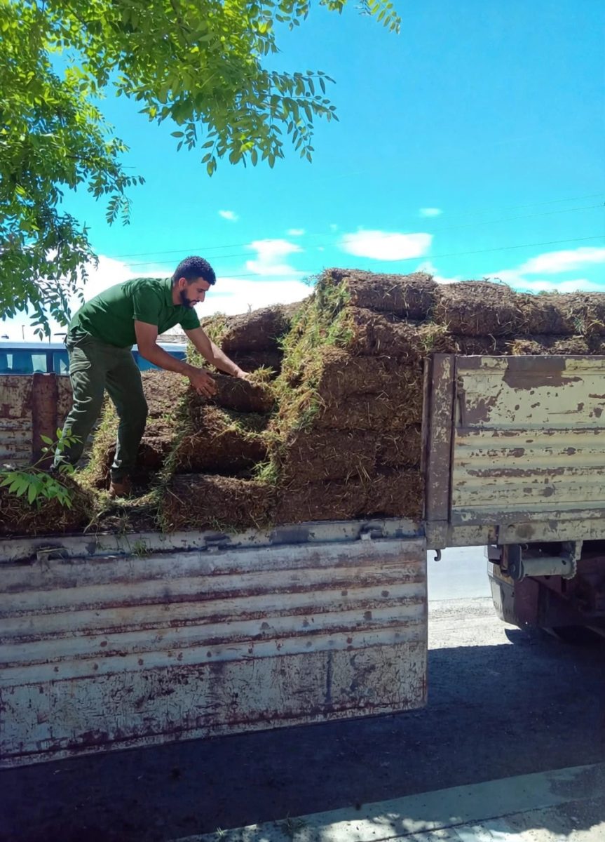 Déchargement de rouleaux de gazon d'un camion