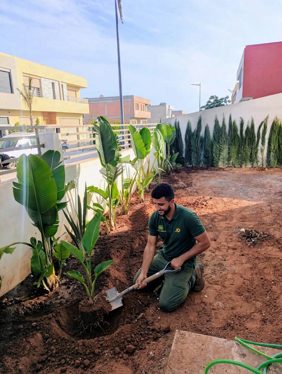 Plantation d'un bananier dans un jardin