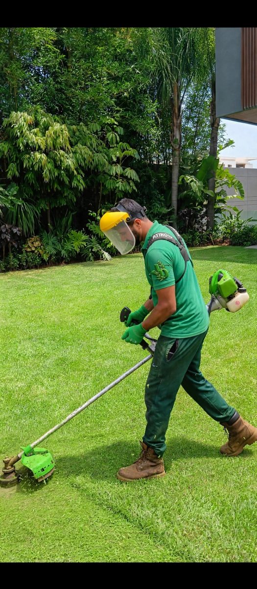 Débroussaillage d'une pelouse dans un jardin