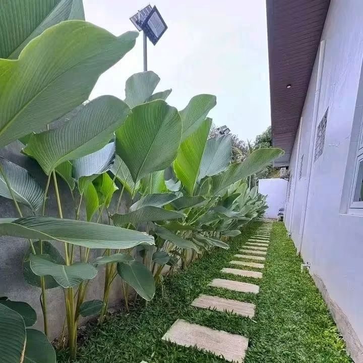 Jardinage / paysagisme à Bouskoura — Paysage Lhoussain