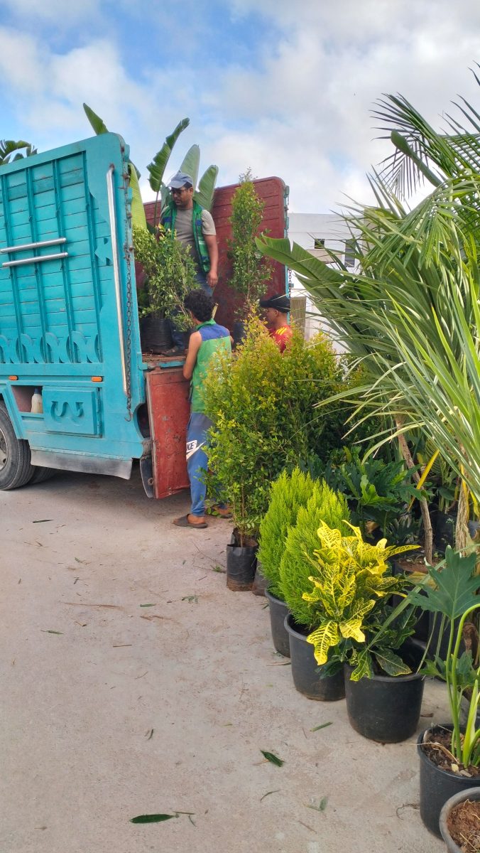 Jardinage / paysagisme à Bouskoura — Paysage Lhoussain
