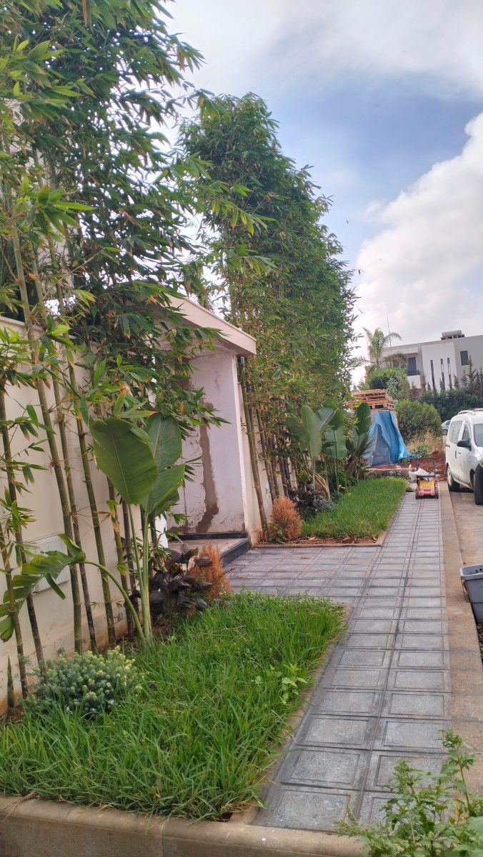 Jardinage / paysagisme à Bouskoura — Paysage Lhoussain