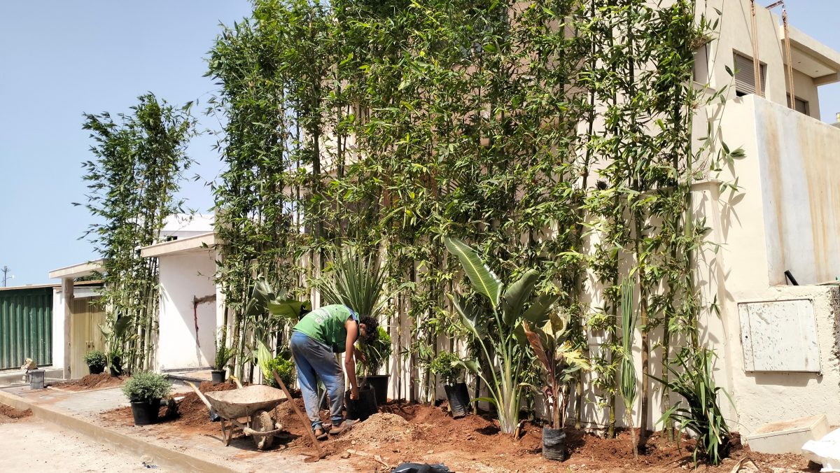 Jardinage / paysagisme à Bouskoura — Paysage Lhoussain