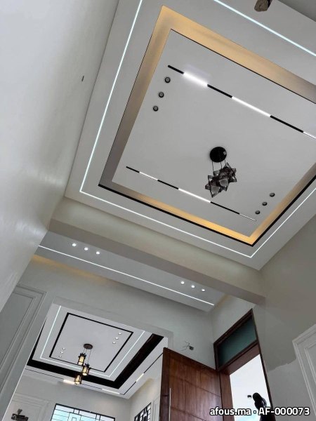 Grand faux plafond à cadres concentriques LED et suspension étoilée