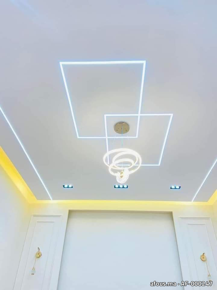 Faux plafond à cadres de lignes lumineuses LED et suspension anneau — Rabat