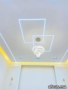 Faux plafond à cadres de lignes lumineuses LED et suspension anneau — Rabat