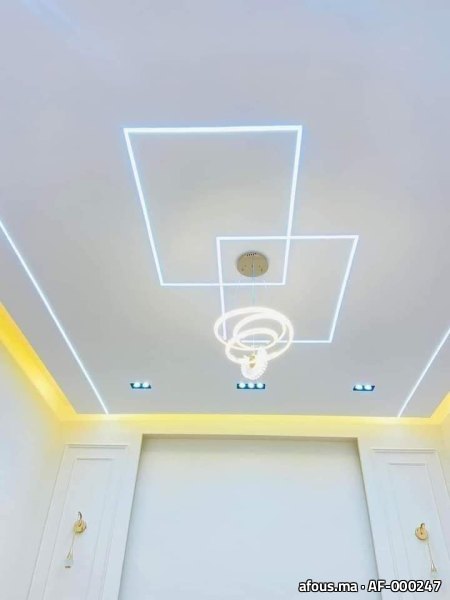 Faux plafond à cadres de lignes lumineuses LED et suspension