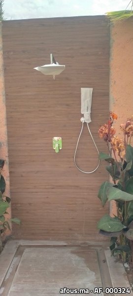Douche extérieure de jardin à mur en lames composite