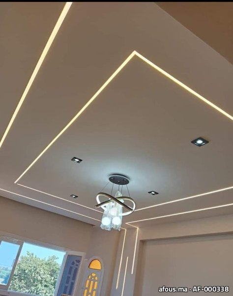 Faux plafond à rubans lumineux et suspension