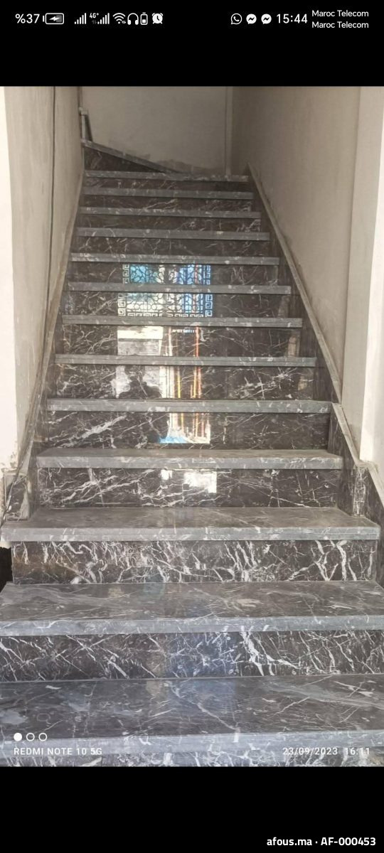 Escalier en marbre gris veiné à marches assorties — Salé