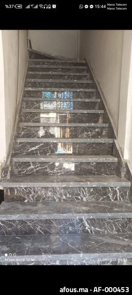 Escalier en marbre gris veiné à marches assorties — Salé