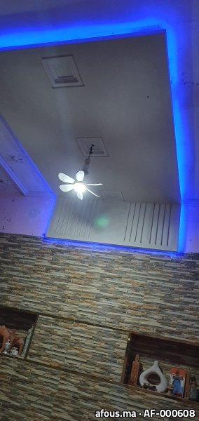 Faux plafond bleu et mur en pierre