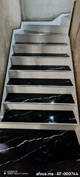 Escalier en marbre blanc et noir
